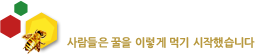 벌꿀 History